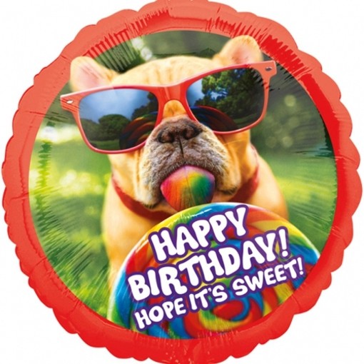 Jumbo Folienballon Hund Happy Birthday, Folienballon mit Helium zum